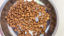 皇家猫粮 成猫猫粮 口感型 ES35 通用粮 12月以上 10KG 实拍图