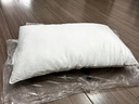 水星家纺蚕丝枕头 A类抑菌护颈椎枕头芯 家用软枕头成人一对装48cm*74cm 实拍图