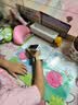 有道词典笔A7Pro英语点读笔小学初中高中同步全科扫描学习笔神器电子词典翻译笔单词笔点读机学习机 实拍图