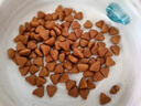 皇家猫粮 成猫猫粮 去毛球 IH34 通用粮 12月以上 2KG 实拍图