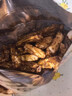三关六码头宁波特产年货脏脏年糕条小包装红糖开花膨化食品休闲零食25g 实拍图