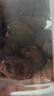 川珍佐食光去腥组合280g 草果肉蔻白芷 香辛料炖肉大料卤味调料 实拍图