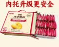 江中猴姑养胃猴头菇饼干中老年人高钙营养食品健康零食礼盒送人960g 实拍图