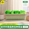 史丹利阳台种菜盆专用家用花盆长方形塑料蔬果盆栽橄榄绿【长590mm】 实拍图