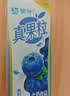 蒙牛真果粒蓝莓味牛奶饮品250g*12盒 礼盒新老包装 含乳饮料送礼礼盒 实拍图