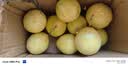 京喜加广西钦蜜9号黄金百香果青果发货当季新鲜大果黄皮果奶茶店水果 【1斤 约11-17个】单果30-45g 实拍图