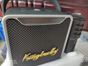 金运【热销200W+】k歌麦克风音响一体机2026新款唱歌话筒家用ktv套装可连电视家庭卡拉OK神器户外音箱 【26年顶配】送K歌会员丨双麦-赠防喷话筒套 【拆封也能退丨K歌试用体验不花钱】 实拍图