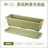 史丹利阳台种菜盆专用家用花盆长方形塑料蔬果盆栽橄榄绿【长590mm】 实拍图
