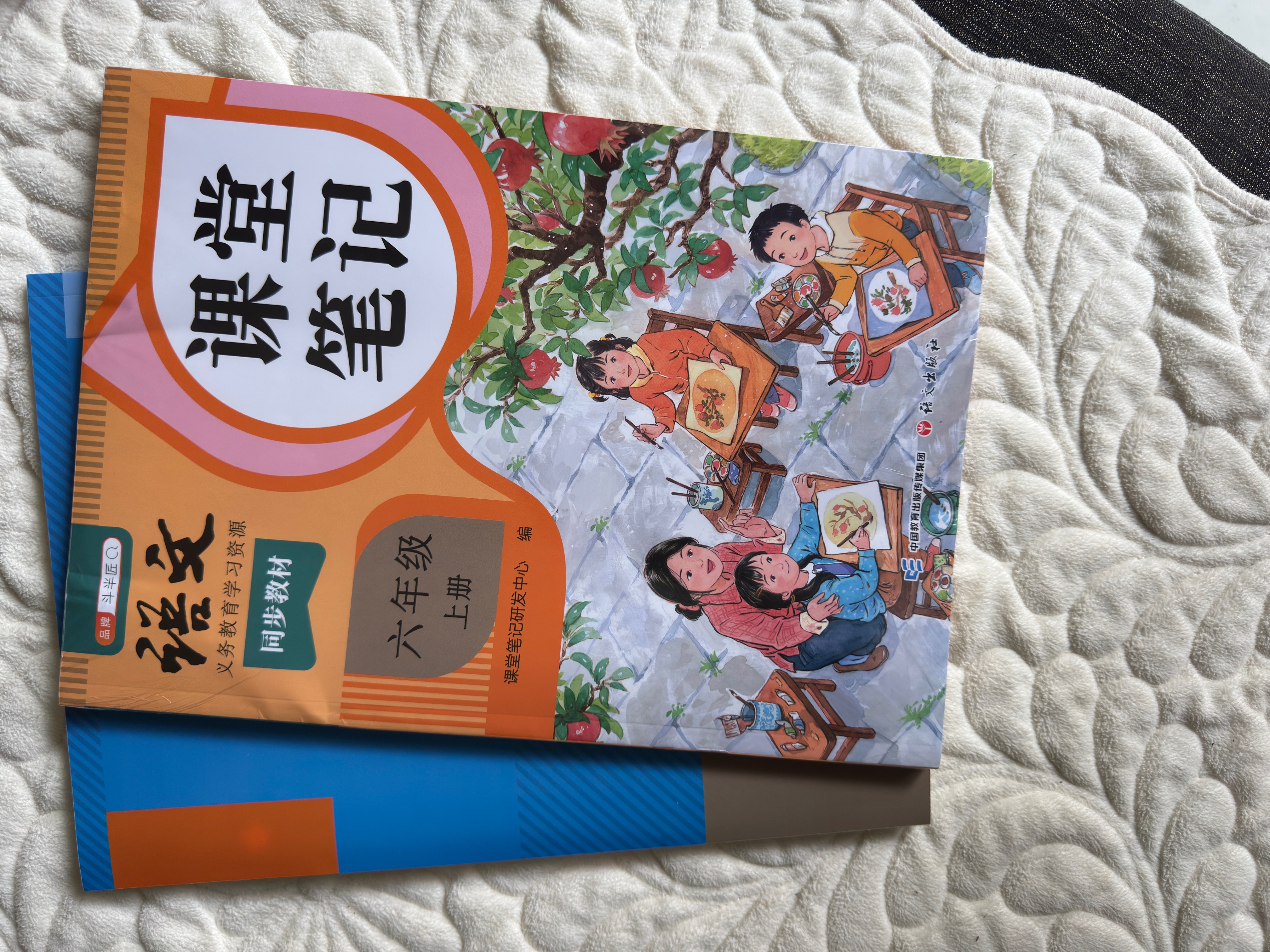 2026斗半匠课堂笔记六年级上册语文数学人教版同步教材随堂笔记教材全解小学生课堂预复习辅导书（2册） 实拍图