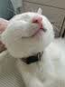 皇家猫粮 成猫猫粮 户外成猫 O30 通用粮 12月以上 4KG 实拍图