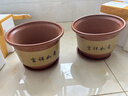 紫砂陶瓷花盆特大号花盆粗砂陶土大码陶瓷盆批发落地盆景花卉绿植 口径25cm 1个盆+托盘 实拍图