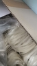 白鲨沙河粉整箱装2.5斤广东炒牛河手工河粉纯大米 实拍图
