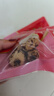 十月稻田去皮去核灰枣 500g 新疆 软糯香甜 礼盒 独立小包 八宝粥 送礼 实拍图