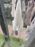 俞兆林（YUZHAOLIN）2件装女童内衣发育期9-12岁夏季薄款小背心大儿童小学生少女文胸 实拍图