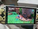 任天堂（Nintendo）【国内保税仓】Switch2/1代 OLED/续航加强日版/港版便携家用ns体感游戏机掌机 港版switch2国际多语言保税（赠共享会员） 实拍图