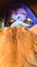 尾巴生活（FURRYTAIL）彩虹泥黑白泥紫泥主食餐盒9种泥囤货礼盒装 混合口味猫咪主食罐头 实拍图