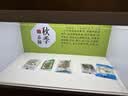 当日发】整肠生 地衣芽孢杆菌活菌胶囊 0.25g*36粒 儿童成人益生菌细菌真菌引起的急慢性肠炎腹泻 3盒装 【立省6元 周期改善装】 实拍图