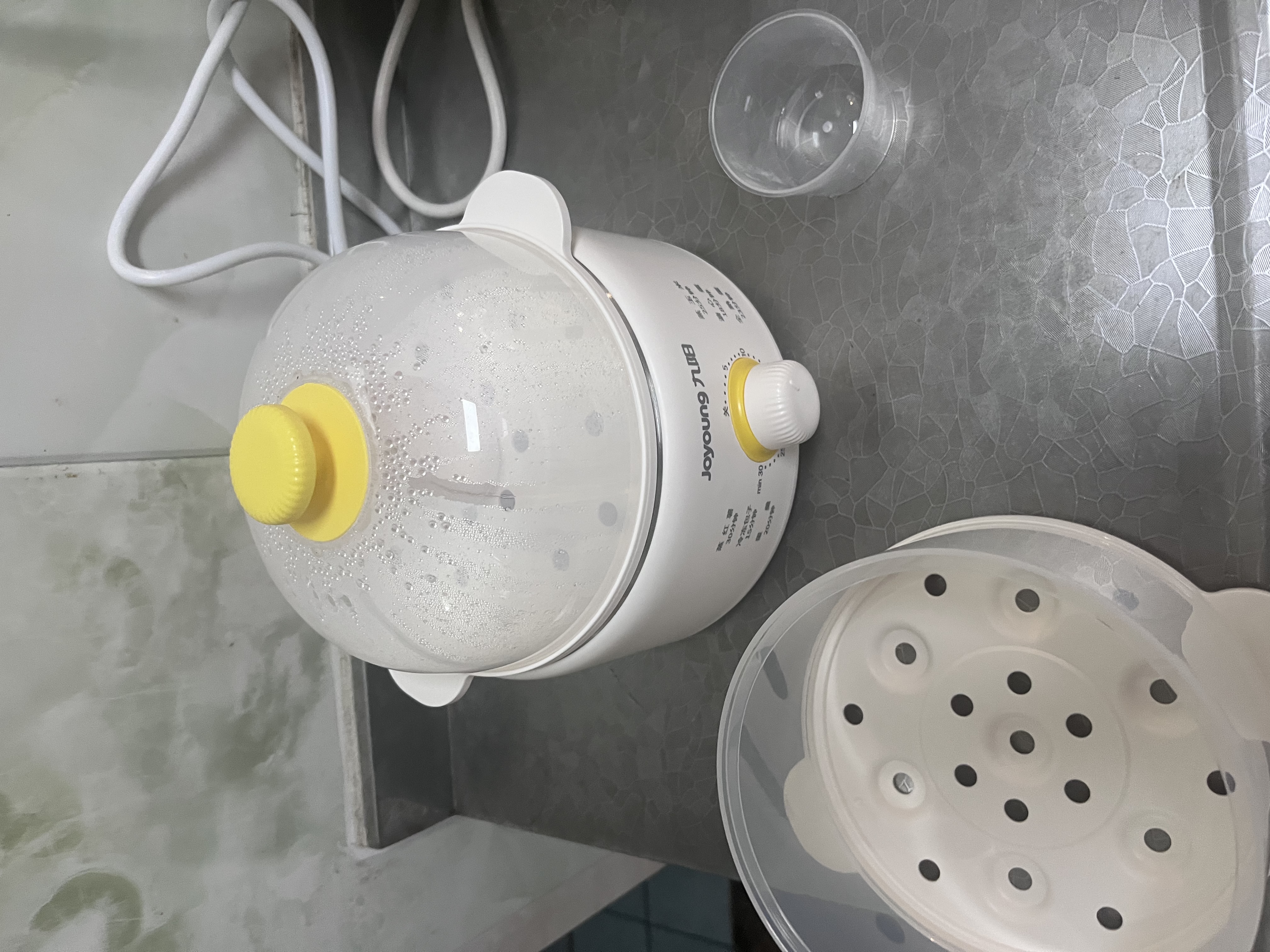 九阳（Joyoung）煮蛋器单双层家用高温断电迷你早餐蒸蛋机炖蛋器便携式电蒸锅 煮鸡蛋神器GE310B 实拍图