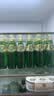健龙 五大连池 天然含气矿泉水玻璃瓶气泡水200ml*24瓶整箱 实拍图