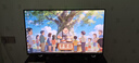 泰坦军团 31.5英寸2304分区 MiniLED 4K 160Hz双模320Hz HDR1000 DyDs0.5ms消除拖影 电竞显示器P326MV MAX 实拍图