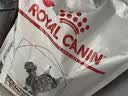 皇家猫粮 成猫猫粮 口感型 ES35 通用粮 12月以上 10KG 实拍图