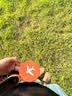 班哲尼 旅行箱硅胶挂绳行李牌 旅行箱包卡通托运挂牌吊牌 行李箱登机识别牌 含手写信息纸卡 橙色 实拍图