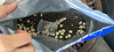 路斯猫粮冻干肉松鲜肉猫粮成幼猫防软便克星破局者XR系列2kg 实拍图