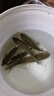 龙王恨鱼饵野战蓝鲫香腥钓饵江河湖库黑坑野钓鲫鱼鲤鱼草青鳊鱼钓鱼饵料 实拍图