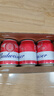 百威啤酒mini红罐淡色拉格255ml*12小罐整箱装京东自营喜酒 实拍图