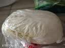 有机大白菜1.2kg 实拍图