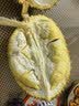华为【六一儿童节礼物】儿童手表 4 Pro华为手表智能手表支持儿童微信电话粉色 男女童 实拍图