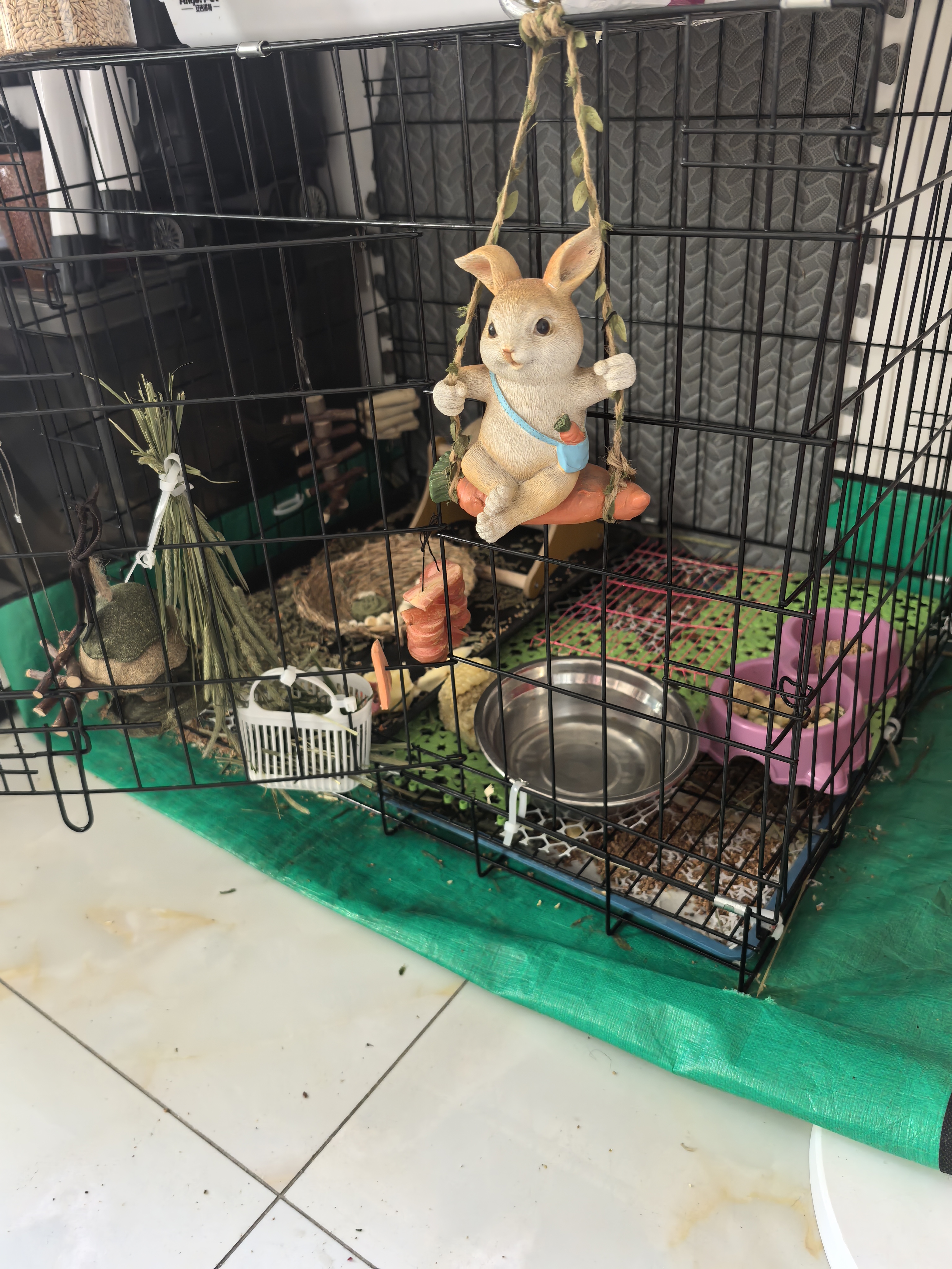 宠乐乖（CHONGLEGUAI）狗笼猫笼狗笼子中小型犬带厕所幼犬折叠便携猫笼子猫咪兔笼700ZG 实拍图
