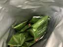 京东京造原味巴旦木仁400g每日坚果干果扁桃仁杏仁零食炒货京东自营无添加 实拍图
