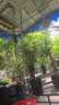 耐德斯特8/12mm中管挂式雾化喷头浇花浇菜种植物喷淋灌溉喷雾器 10个装 实拍图