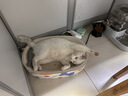 冠能猫粮 成猫猫粮鸡肉味10kg 全价猫粮 稳固免疫【宠物金选】 实拍图
