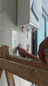 海尔【小海鲸系列JH7SMAX】16升燃气热水器天然气 小蓝瓶净肤洗 无冷烫水恒温 一级静音增压大水量家用 实拍图