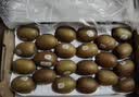 佳沛（zespri）新西兰阳光金奇异果巨大果22粒原箱单果146-175g 猕猴桃水果礼盒 实拍图