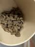 好主人金装好主人猫粮2.0 成猫幼猫蓝猫英短通用全价无谷冻干 【量贩优惠】金装成猫粮9斤 实拍图