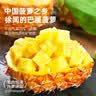 良品铺子全麦椰香菠萝卷720g夹心手撕吐司面包整箱营养早餐休闲零食 实拍图