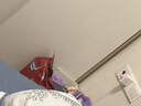 名典熊一体拉拉裤XL码52片【12-15kg】婴儿尿不湿超薄干爽尿裤男女通用 实拍图