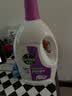 滴露（Dettol）衣物除菌液薰衣草3L杀菌99.9%除螨 内衣香氛衣物消毒液可配洗衣液 实拍图