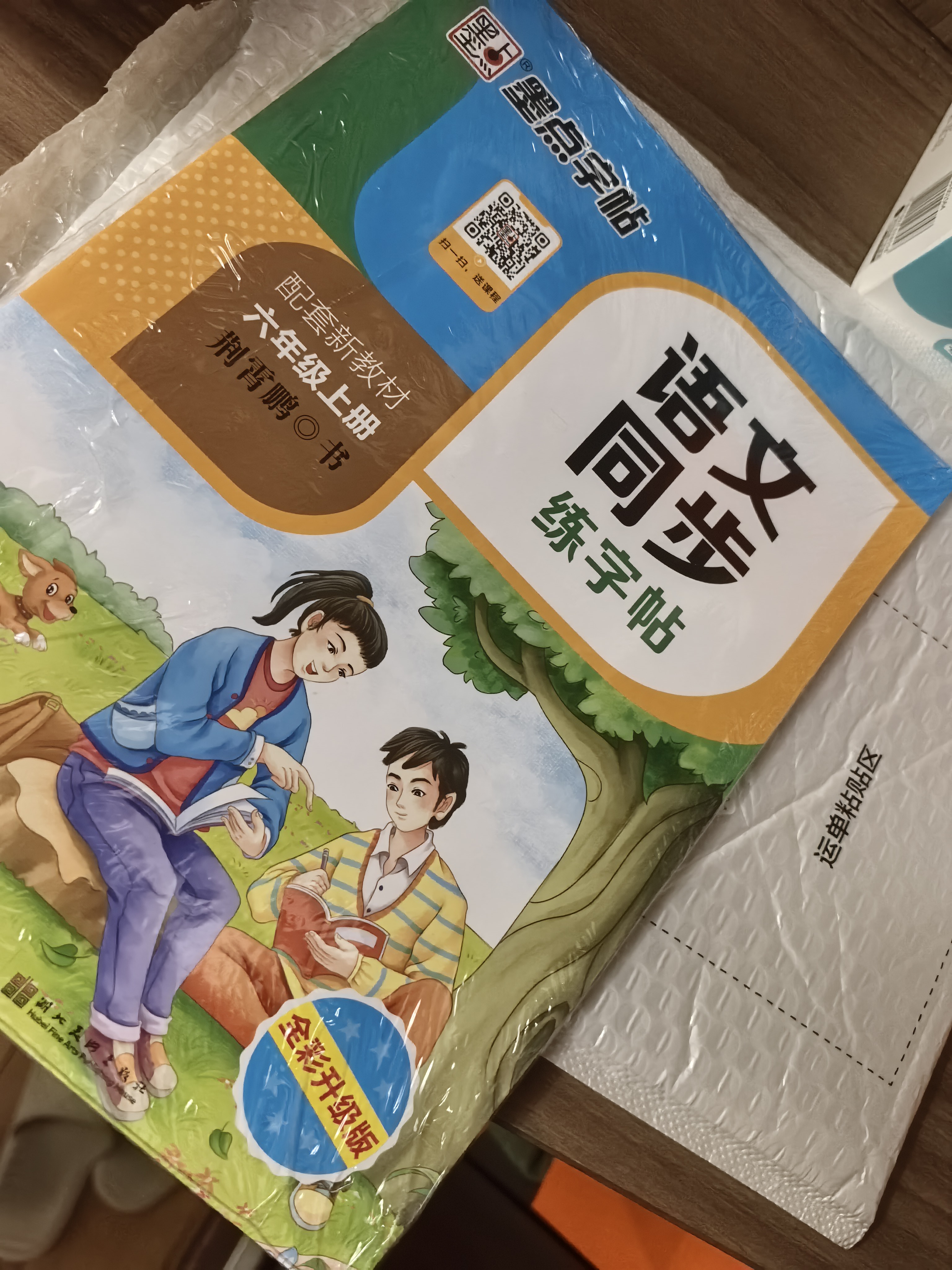 墨点字帖 2026年 六年级上册语文同步 笔顺笔画同步练字帖视频版 附赠听写默写本 人教版6年级课外阅读钢笔铅笔字帖楷书描红本偏旁部首拼音控笔训练字帖 （共2册） 实拍图
