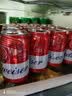 百威红罐啤酒淡色拉格330ml*24听整箱装京东自营 实拍图