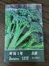 北蔬西兰苔种子苗清甜脆嫩家庭四季阳台蔬菜籽 西兰苔种子100粒x3包 实拍图