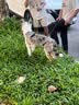 网易严选车载固体香膏汽车香薰车载香水香氛 车内除异味摆件礼物 明前龙井 实拍图