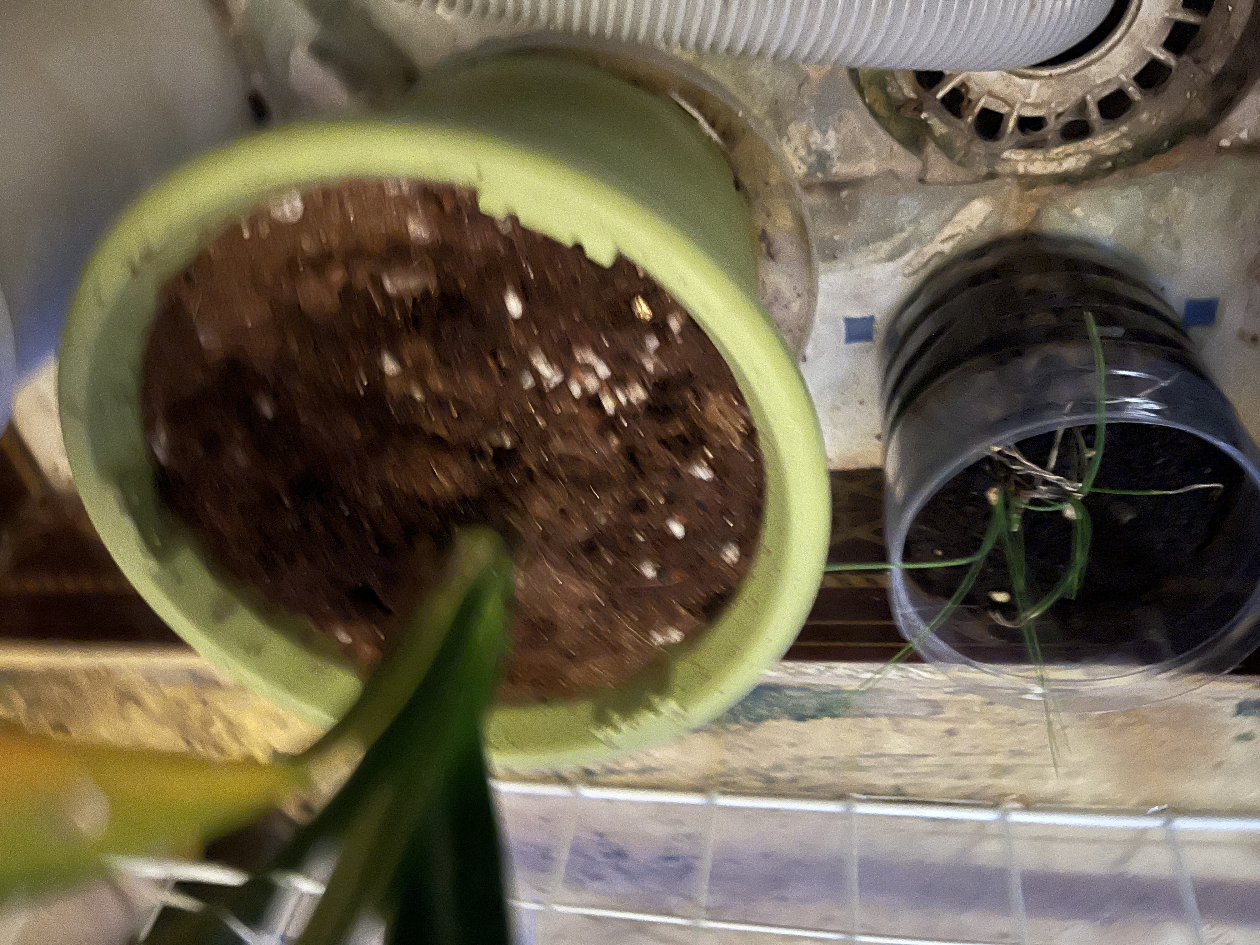 史丹利花盆家用树脂塑料盆栽加厚多肉月季阳台庭院加仑盆苹果绿高140mm 实拍图