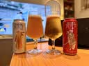 瓦伦丁（Wurenbacher）德国进口混合啤酒礼盒装 500ml*12听 整箱装 京东自营 送礼 实拍图