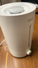 美的（Midea）【小型便携】加湿器家用卧室孕妇婴幼鼻炎静音除菌大雾量空调风扇清凉伴侣桌面生日礼物CS-3VWL 实拍图