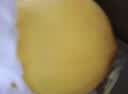 京觅甘肃哈蜜瓜西州蜜 净重5-6斤 1-2粒沙漠哈密瓜水果源头直发包邮 实拍图