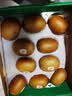 佳沛（zespri）新西兰阳光金奇异果10粒巨大果单果146-175g 猕猴桃水果礼盒 实拍图